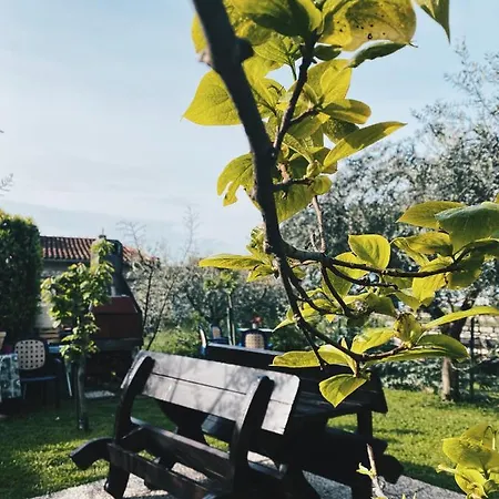 Apartman Grahovac *